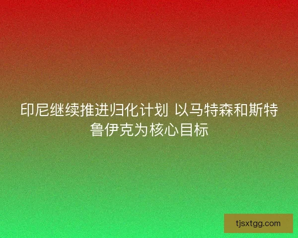 印尼继续推进归化计划 以马特森和斯特鲁伊克为核心目标